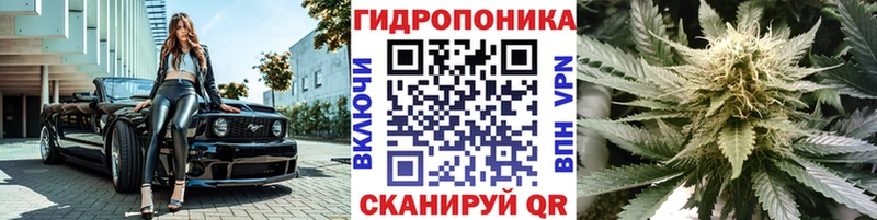 Где можно купить наркотики Курчалой АМФ  Alpha PVP  МЕФ  Бутират  МАРИХУАНА  Cocaine  Гашиш 