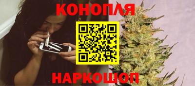 гашик Краснознаменск