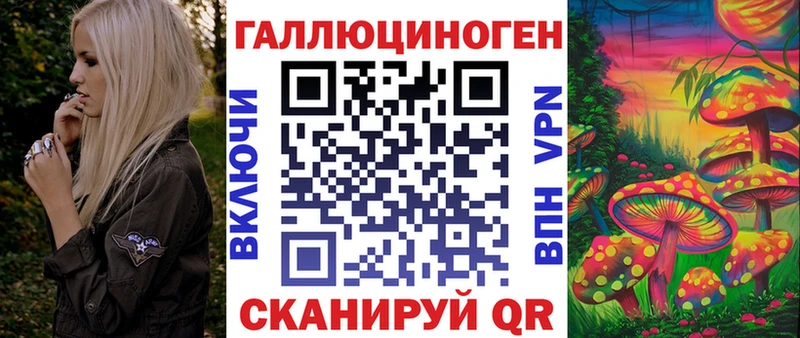 Псилоцибиновые грибы MAGIC MUSHROOMS  где купить наркотик  mega как зайти  Курчалой 