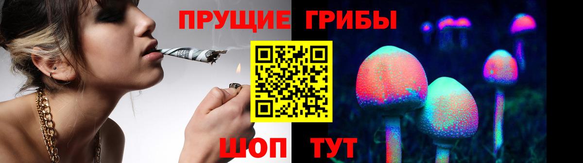 Галлюциногенные грибы мухоморы Курчалой