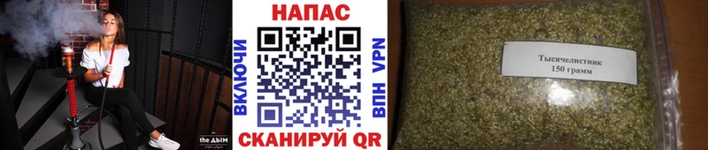 Конопля Ganja  купить  сайты  Курчалой 